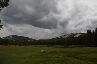 DSC_4477 (Large).JPG